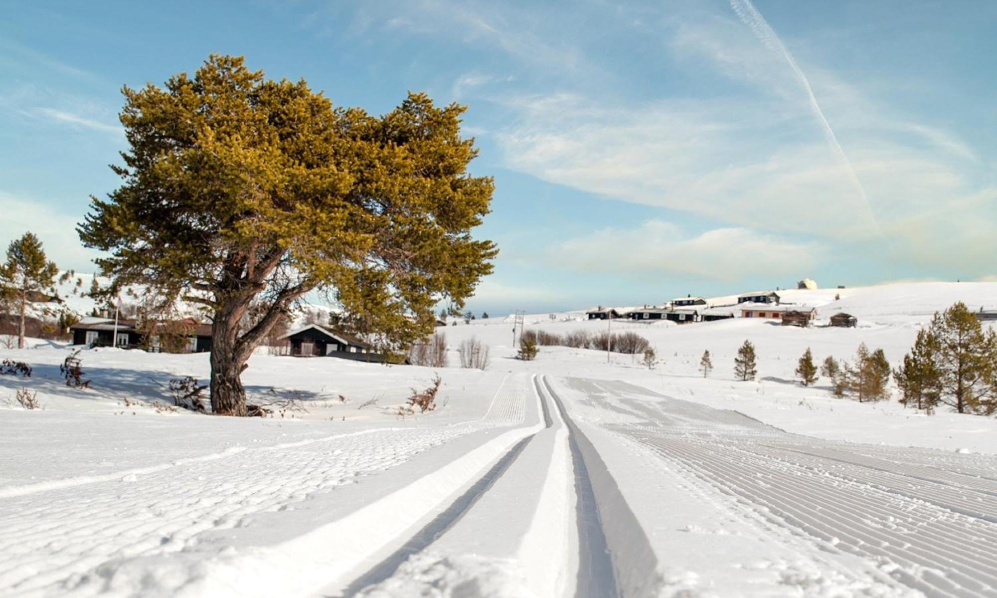 Høvringen Rondane Haukliseter Fjellhotell מראה חיצוני תמונה